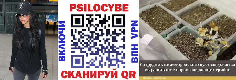 Псилоцибиновые грибы ЛСД  цена   Чердынь 